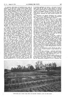 giornale/TO00194960/1915/unico/00000759