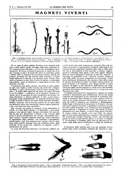 La scienza per tutti giornale popolare illustrato