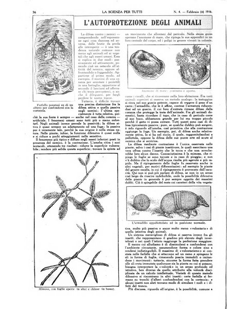 La scienza per tutti giornale popolare illustrato