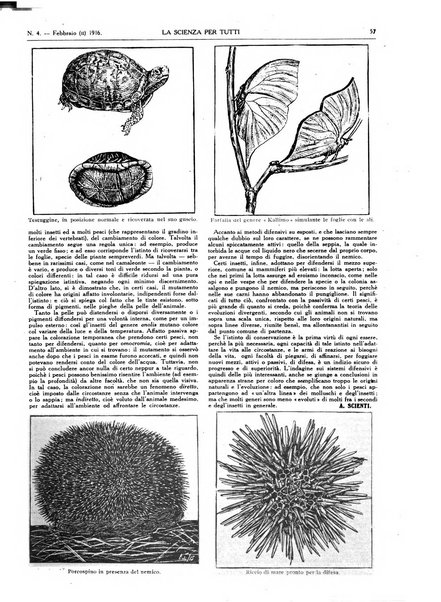 La scienza per tutti giornale popolare illustrato