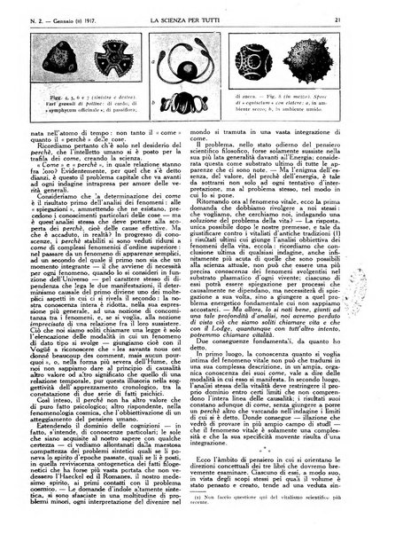 La scienza per tutti giornale popolare illustrato