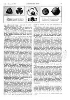 giornale/TO00194960/1917/unico/00000051