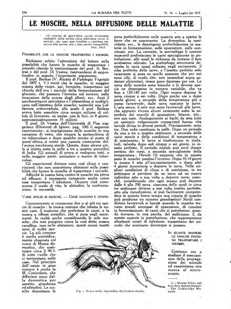 La scienza per tutti giornale popolare illustrato