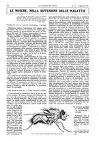 giornale/TO00194960/1917/unico/00000274