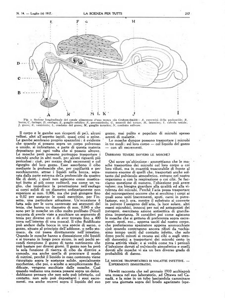 La scienza per tutti giornale popolare illustrato