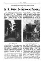 giornale/TO00194960/1917/unico/00000308