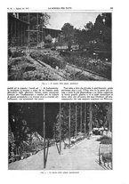 giornale/TO00194960/1917/unico/00000309