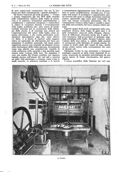 La scienza per tutti giornale popolare illustrato