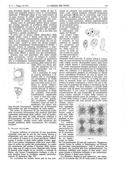 La scienza per tutti giornale popolare illustrato