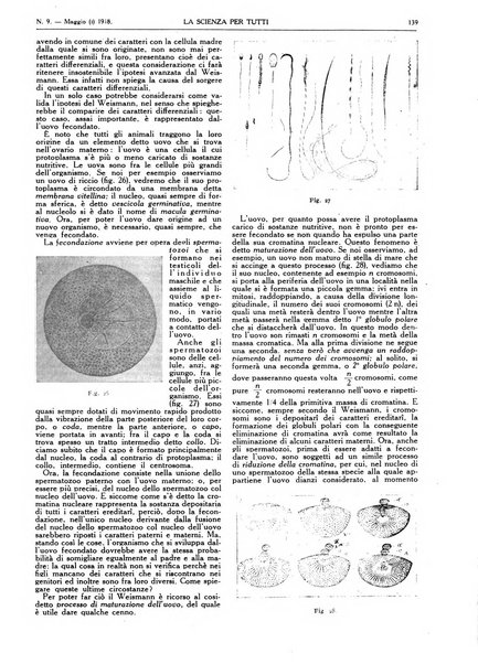 La scienza per tutti giornale popolare illustrato