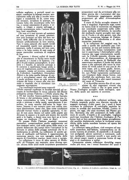 La scienza per tutti giornale popolare illustrato