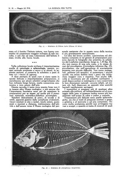 La scienza per tutti giornale popolare illustrato