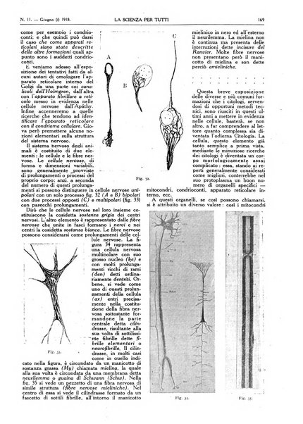 La scienza per tutti giornale popolare illustrato