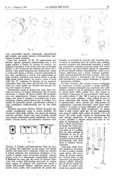 La scienza per tutti giornale popolare illustrato