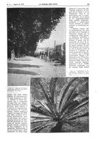 giornale/TO00194960/1918/unico/00000317