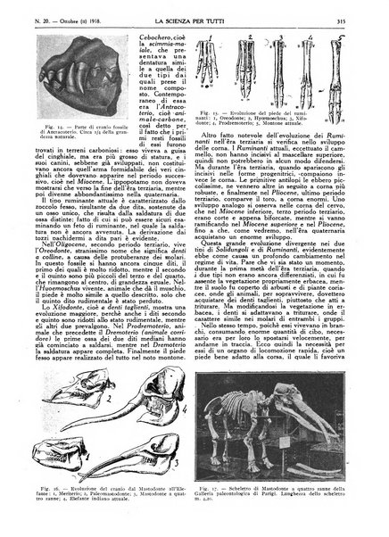 La scienza per tutti giornale popolare illustrato