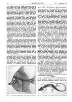 giornale/TO00194960/1919/unico/00000196