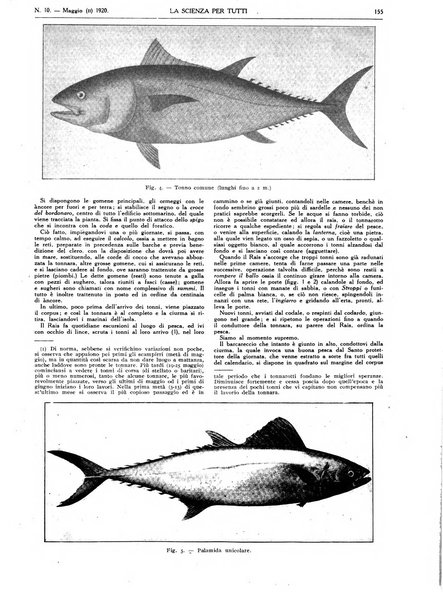 La scienza per tutti giornale popolare illustrato