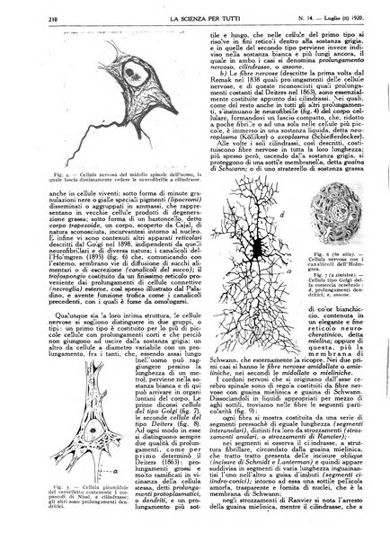 La scienza per tutti giornale popolare illustrato