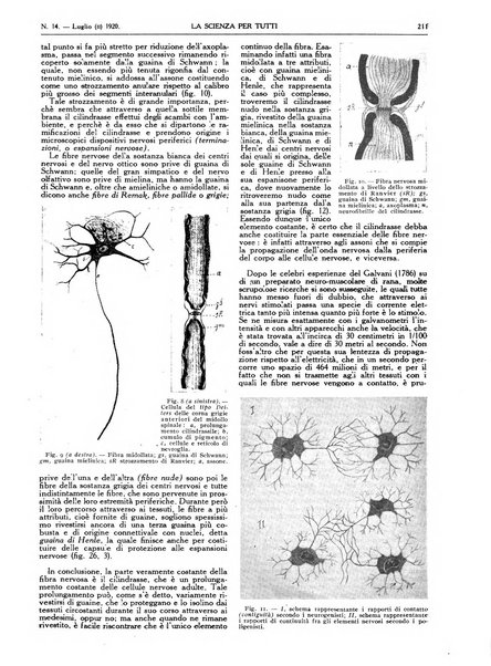 La scienza per tutti giornale popolare illustrato