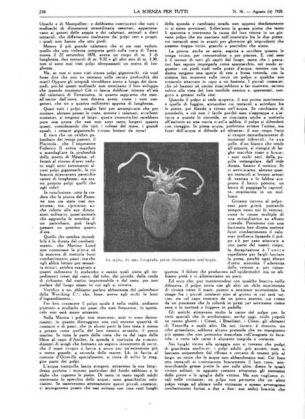 La scienza per tutti giornale popolare illustrato