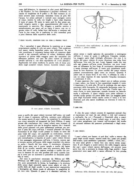 La scienza per tutti giornale popolare illustrato