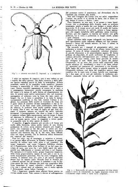 La scienza per tutti giornale popolare illustrato