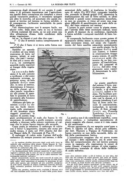 La scienza per tutti giornale popolare illustrato