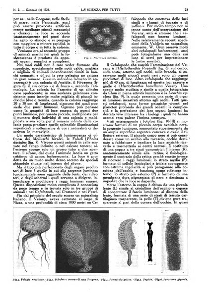 La scienza per tutti giornale popolare illustrato