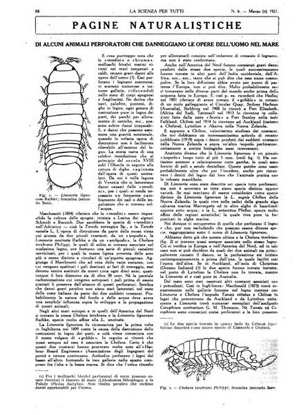 La scienza per tutti giornale popolare illustrato