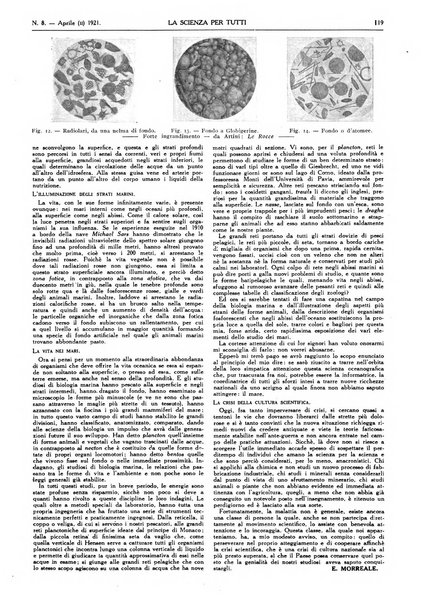 La scienza per tutti giornale popolare illustrato