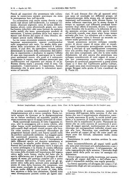 La scienza per tutti giornale popolare illustrato