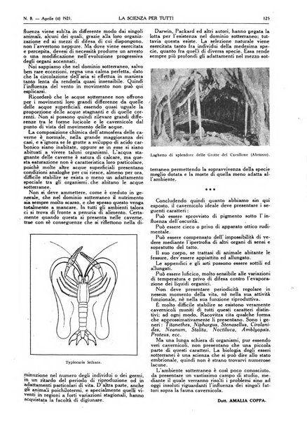 La scienza per tutti giornale popolare illustrato