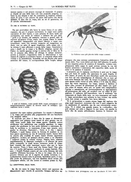 La scienza per tutti giornale popolare illustrato