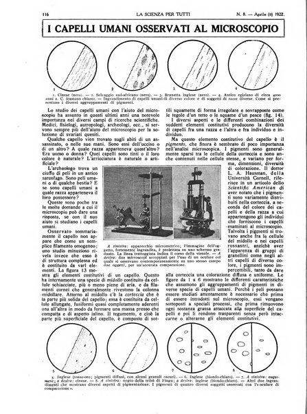 La scienza per tutti giornale popolare illustrato