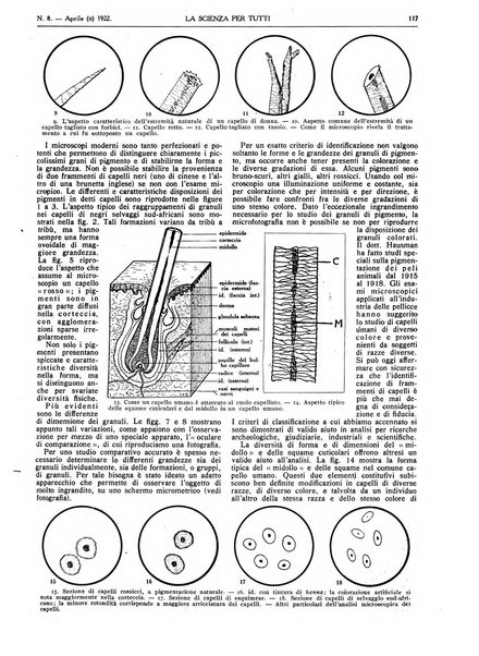 La scienza per tutti giornale popolare illustrato