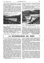 giornale/TO00194960/1922/unico/00000405