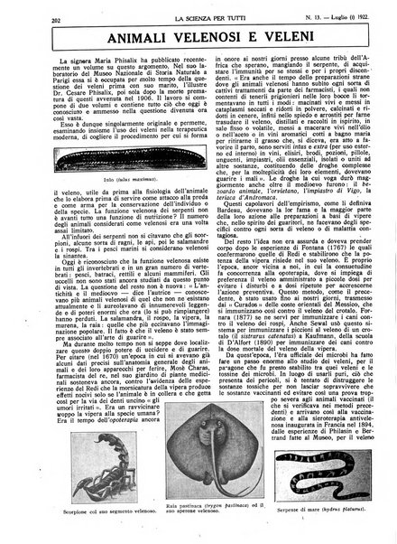 La scienza per tutti giornale popolare illustrato