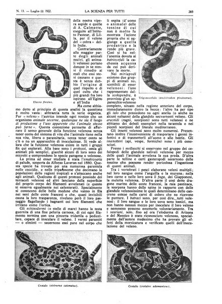 La scienza per tutti giornale popolare illustrato