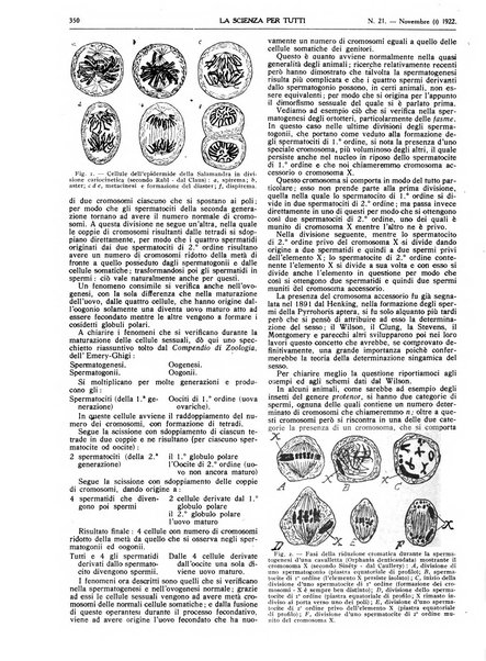 La scienza per tutti giornale popolare illustrato