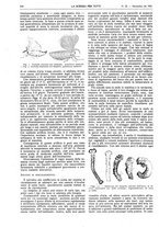giornale/TO00194960/1922/unico/00000874