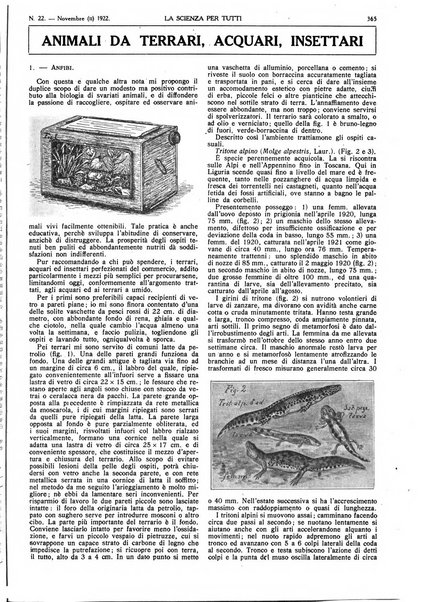 La scienza per tutti giornale popolare illustrato