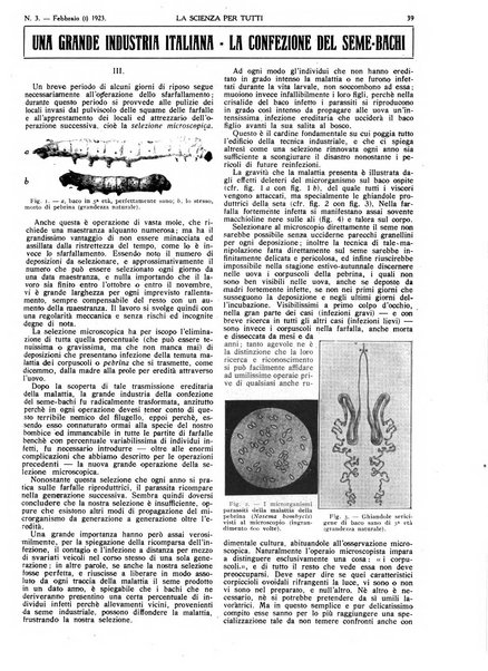 La scienza per tutti giornale popolare illustrato