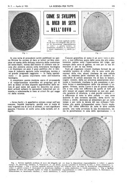 La scienza per tutti giornale popolare illustrato