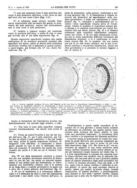 La scienza per tutti giornale popolare illustrato