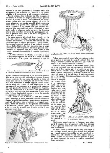 La scienza per tutti giornale popolare illustrato