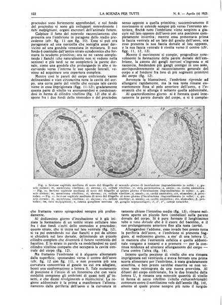 La scienza per tutti giornale popolare illustrato