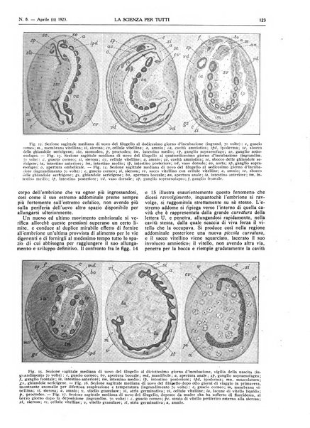 La scienza per tutti giornale popolare illustrato