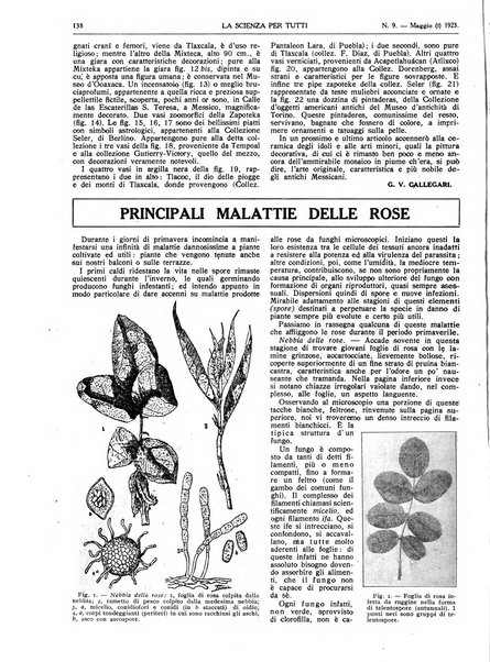 La scienza per tutti giornale popolare illustrato