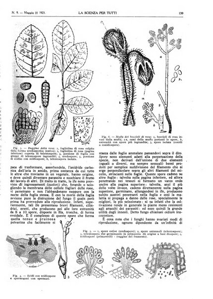 La scienza per tutti giornale popolare illustrato